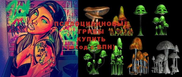 герыч Снежинск