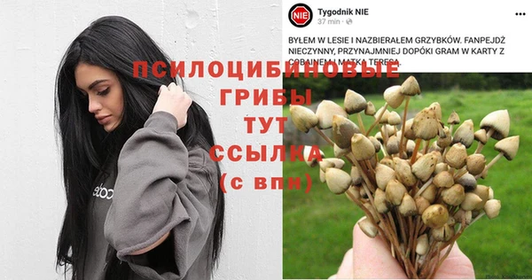 бошки Верея